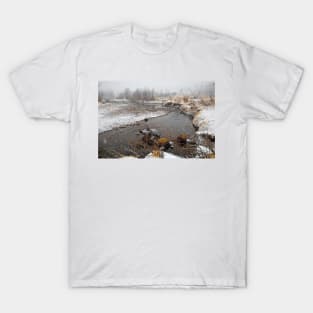 RMNP Winter Study 4 T-Shirt